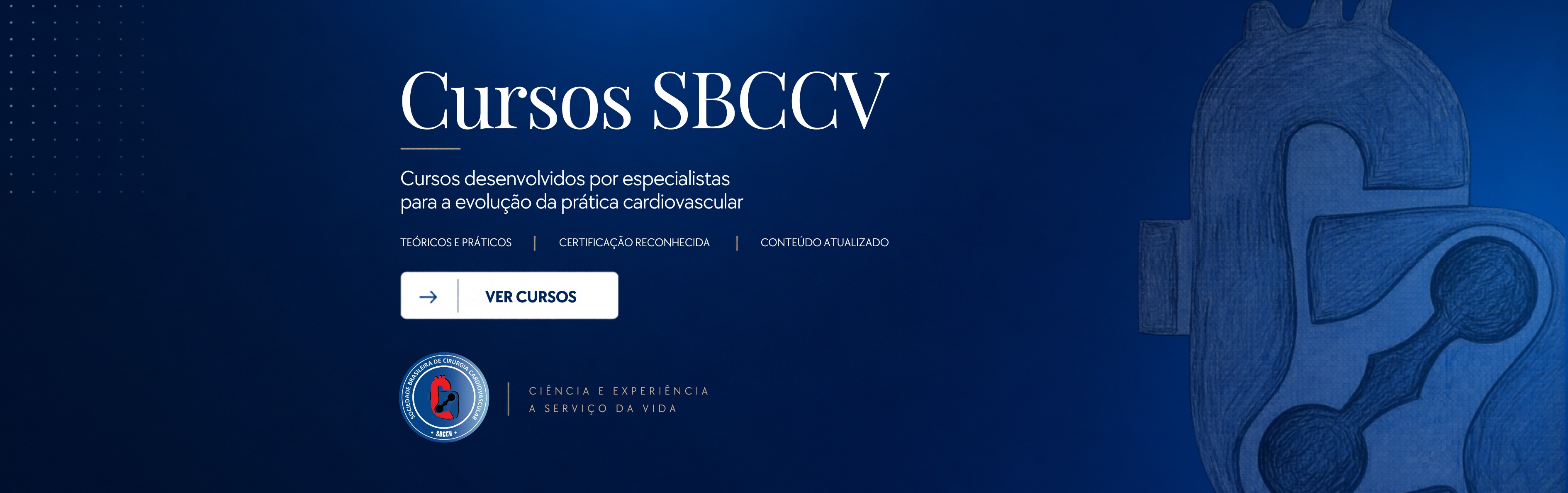 Cursos SBCCV